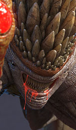 o